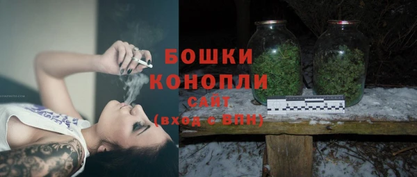 СК Волоколамск