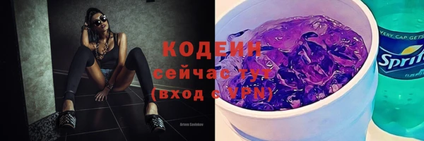 СК Волоколамск
