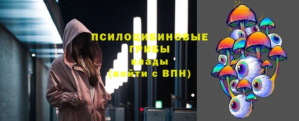СК Волоколамск