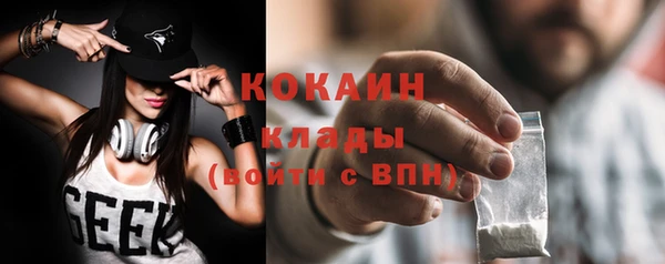 ГАЛЛЮЦИНОГЕННЫЕ ГРИБЫ Волосово
