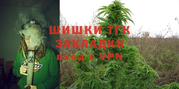 СК Волоколамск
