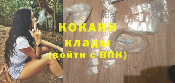 СК Волоколамск