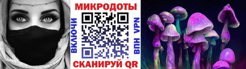 Псилоцибиновые грибы Psilocybine cubensis  купить закладку  Вытегра 